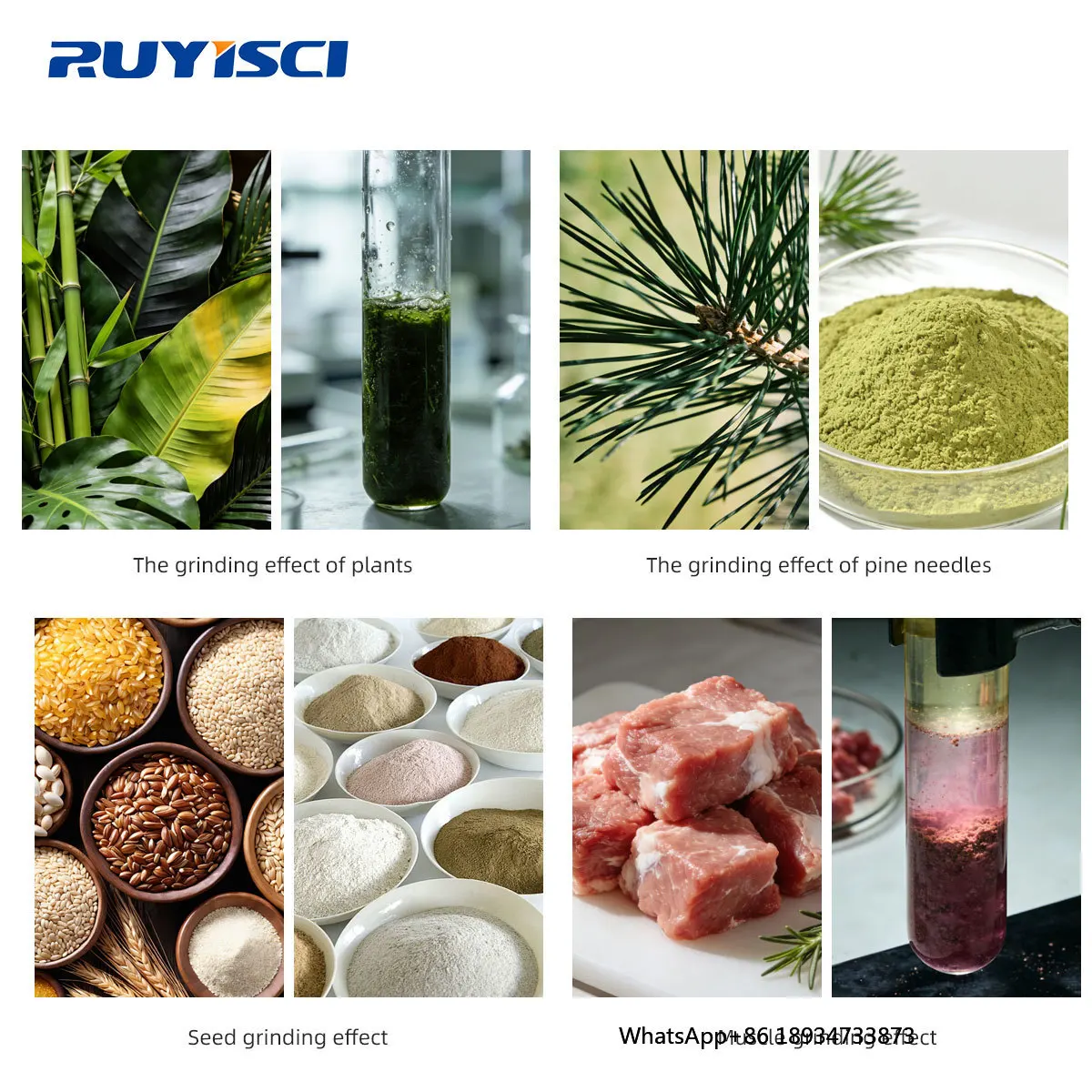 RUYISCI JXFSTPRP-CL Низкотемпературная шлифовальная машина для замороженных тканей — цифровой дисплей — оборудование для измельчения тканей для животных и растений (art.: 3920d464a5a2d) - 3920d464a5a2d