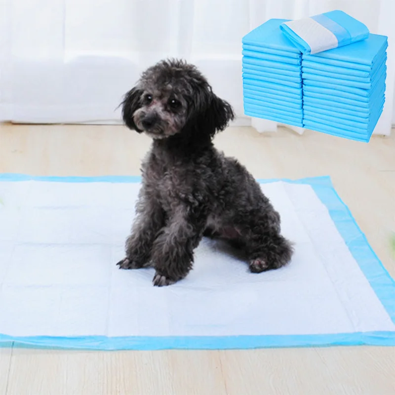 

Thick Cat Pet Toilet Absorbent 10pcs Cat Products Super Mat Diaper Deodorant Litter Puppy Dogs Urine Disposable Dog Pad Diaper