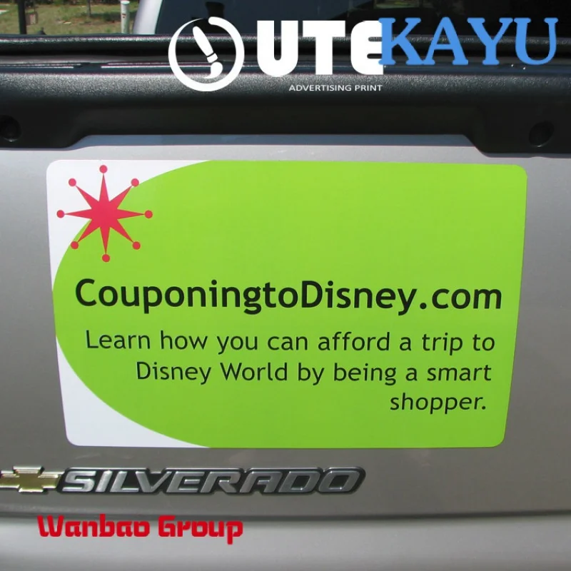 Рисунок 2 - Магнит на дверь автомобиля