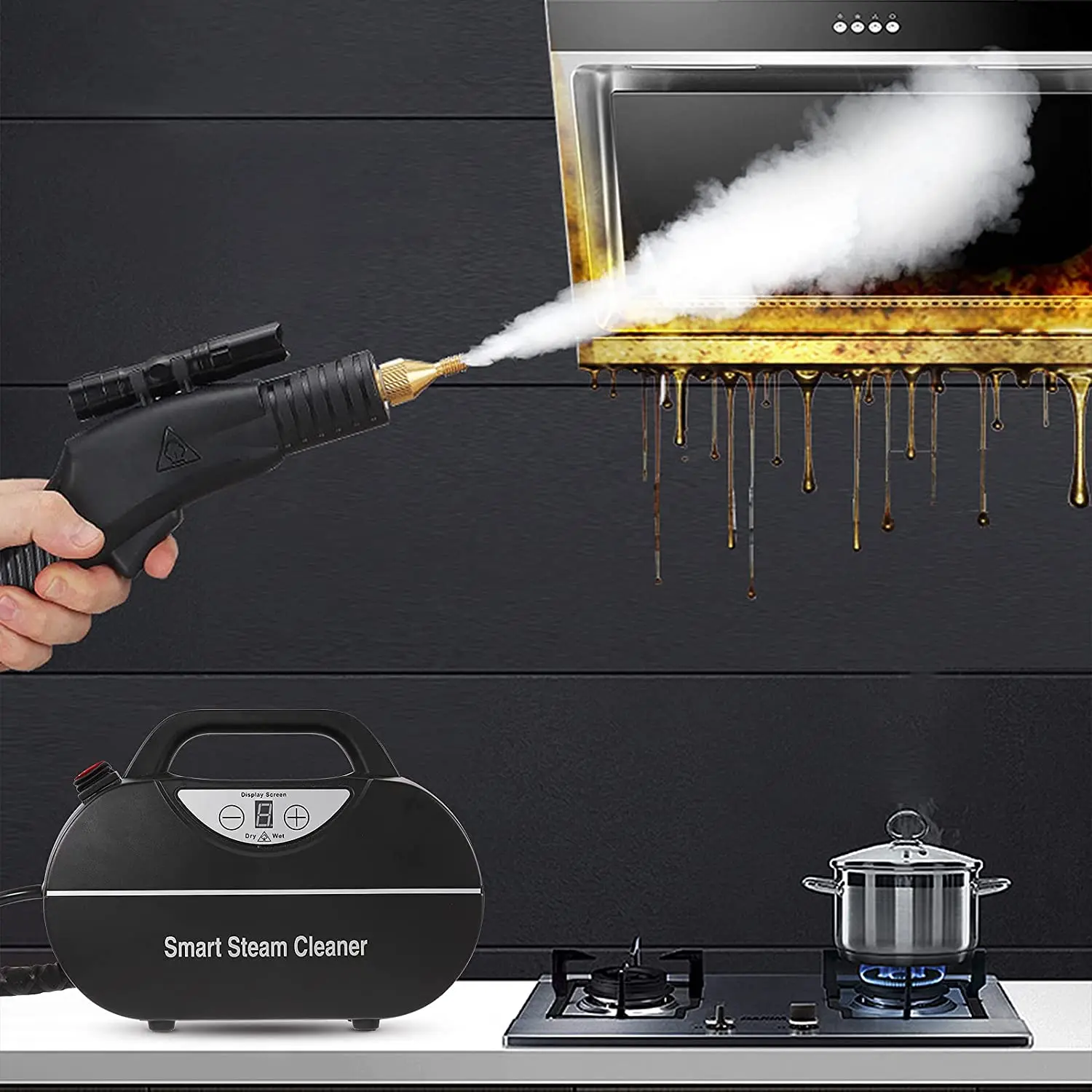 3000W Car Living Handheld Steam Cleaner for Home Wet and Dry