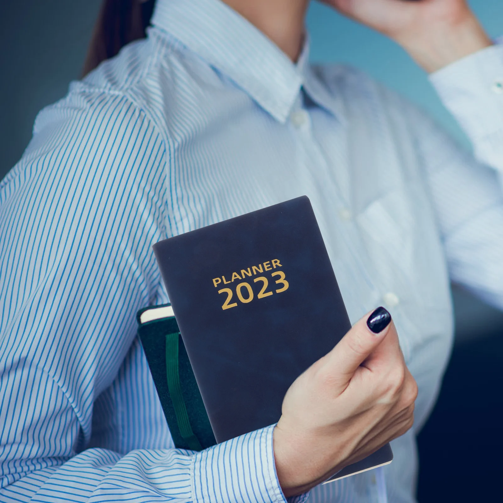 Рисунок 6 - Регулируемый блокнот ежемесячный