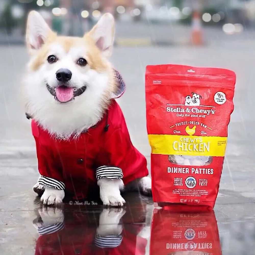 Спортивный дождевик для собак ветровка одежда щенков ретро куртка маленьких