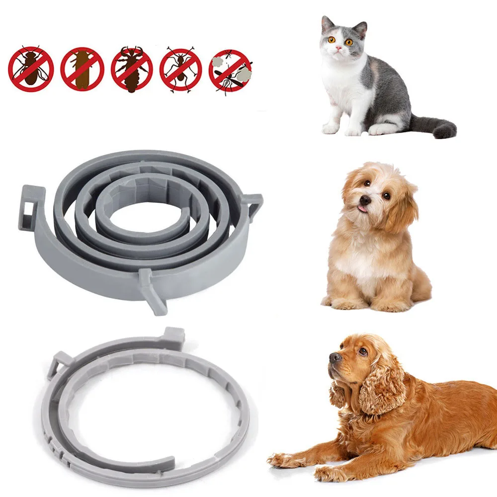 

Removes Flea And Tick Collar for Dogs Cats Up To 8 Month Flea Tick Collar Anti-mosquito & Insect Repellent Breakaway Cat Collar