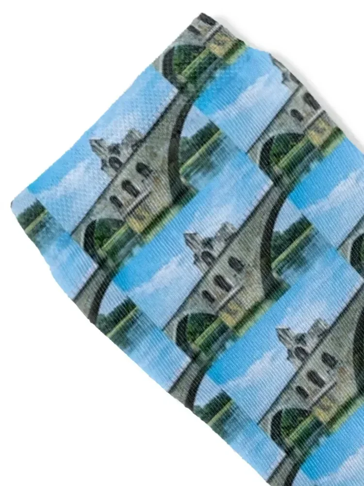 Носки Sur Le Pont Dɺvignon чулки для бега мужские и женские носки