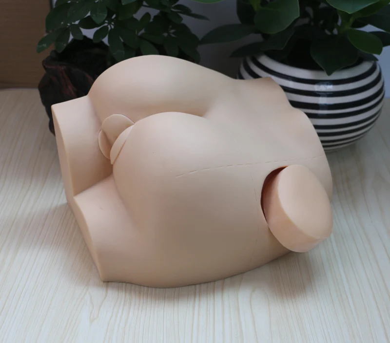 

Hip Muscle Injection Exercise Model
