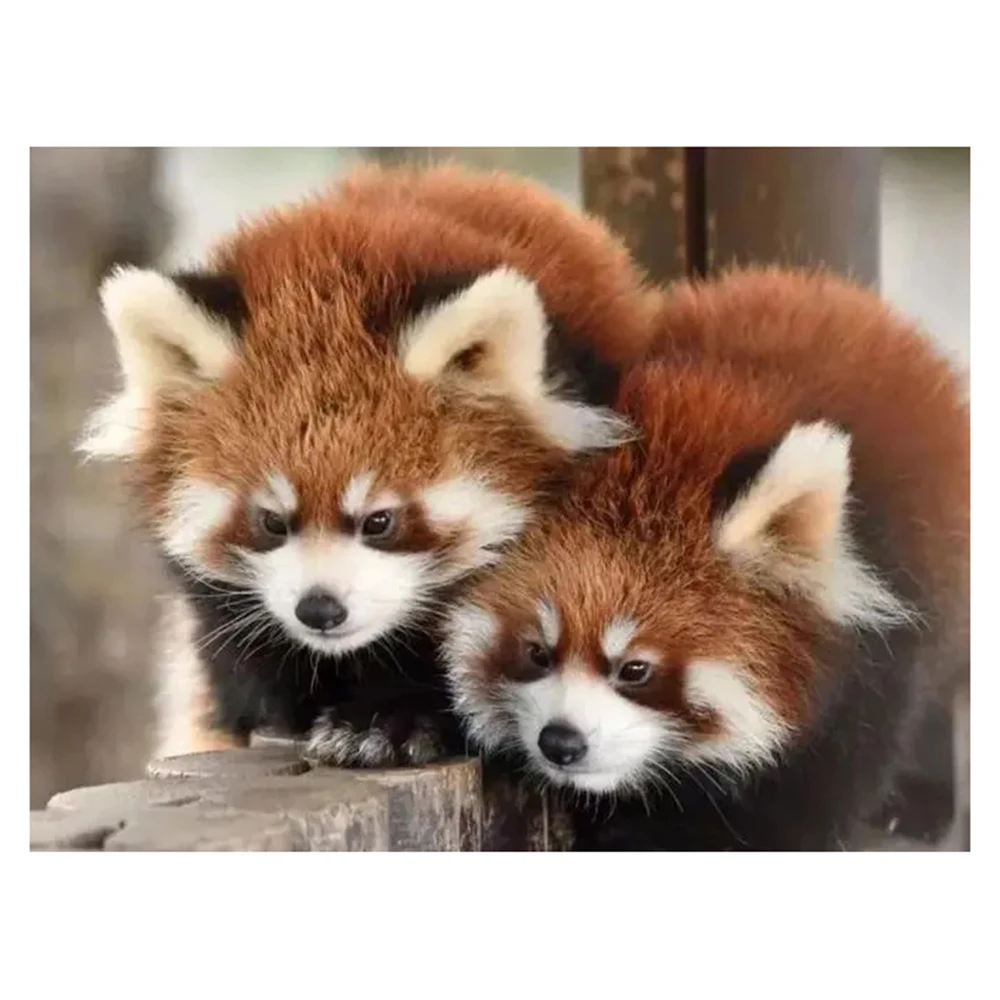 

Kamy Yi 5D DIY алмазная живопись с животными красная панда полный круг квадратная вышивка крестиком красная панда мозаика пейзаж стена