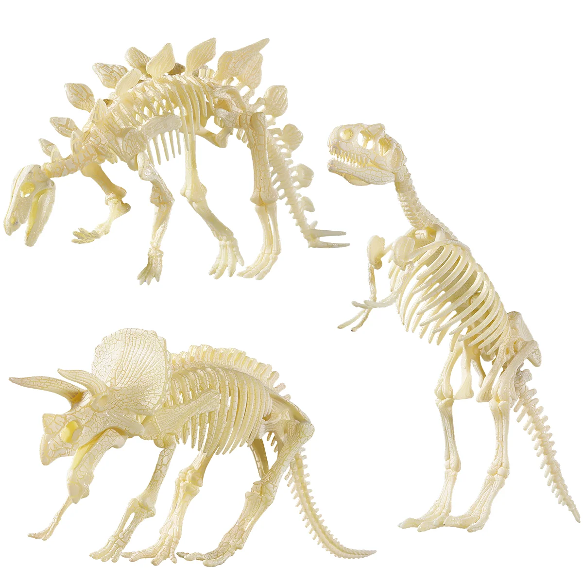 

Skeleton Fossil Toyskids Assorted Model Pretend Toy Figures Bones Fossilskid