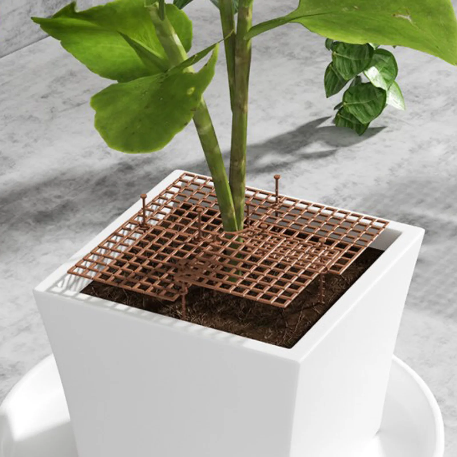 Многоразовый горшок для растений сетка защиты почвы многоразовый почва |