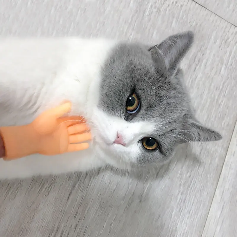 

Funny Palm Shaped Funny Mini Hands Creative Finger Cots Small Hand Tease Kitten Cats Massager Gloves Pet Interactive Toy