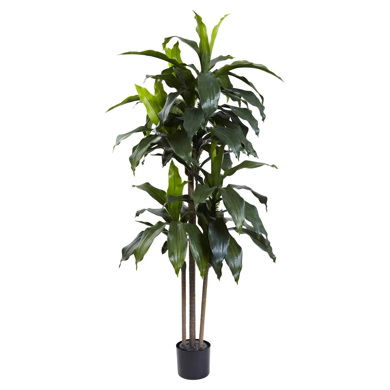 

5 ft. Dracaena Plant UV Resistant Silk Tree