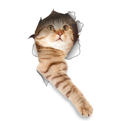 

Водонепроницаемая 3D наклейка на стену с изображением кошек и собак