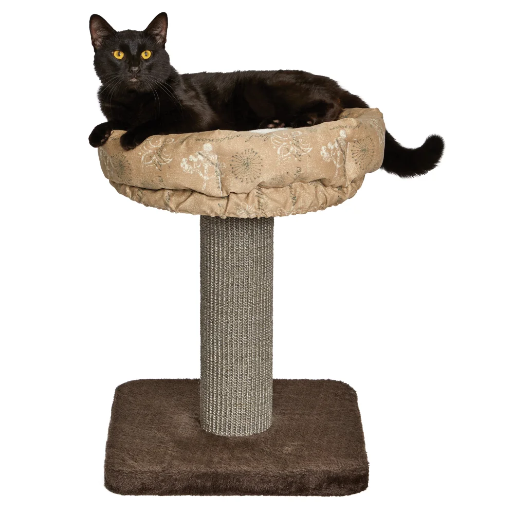 

21.86-Inch Feline Fashionable Cat Tree with Removable Lounging Cat Bed, Cat Supplies, So That Cats Can Play Happily At Home