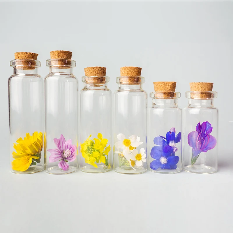 

5Pcs 5/10/15/20ml Christmas Wish Bottles Small Empty Clear Glass Bottles Vials For Holiday Wedding Home Decoration Gifts Bottle