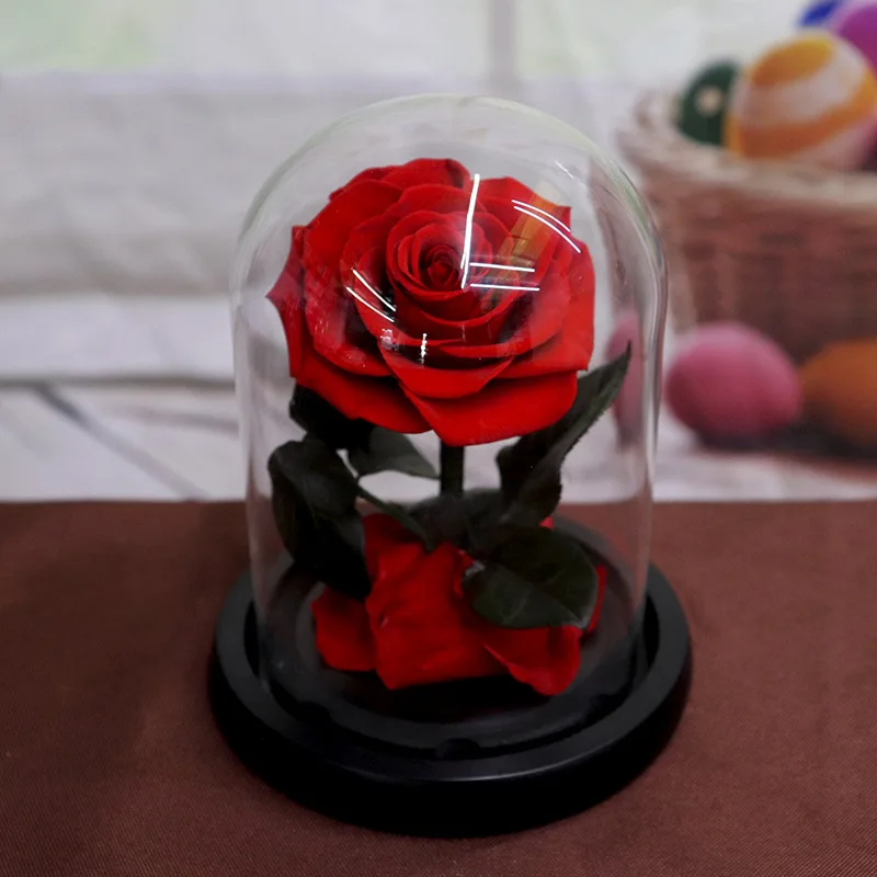 

Mini Eternal Life Flower Glass Cover