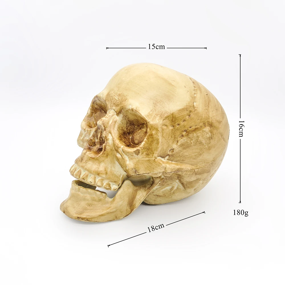 

Пластиковый череп, золотистый