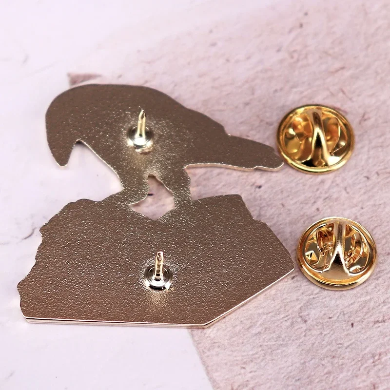 Булавка Ворона и книга shmik