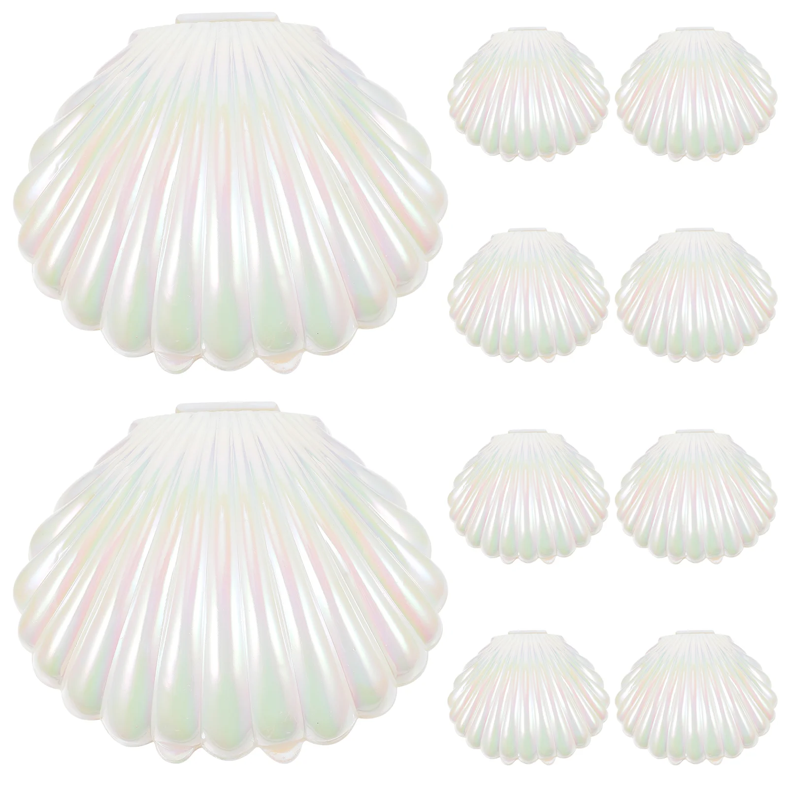 

10 Pcs Candy Box Small Jar Bulk Seashells Pearlescent Color Pp Holder Plastic Container