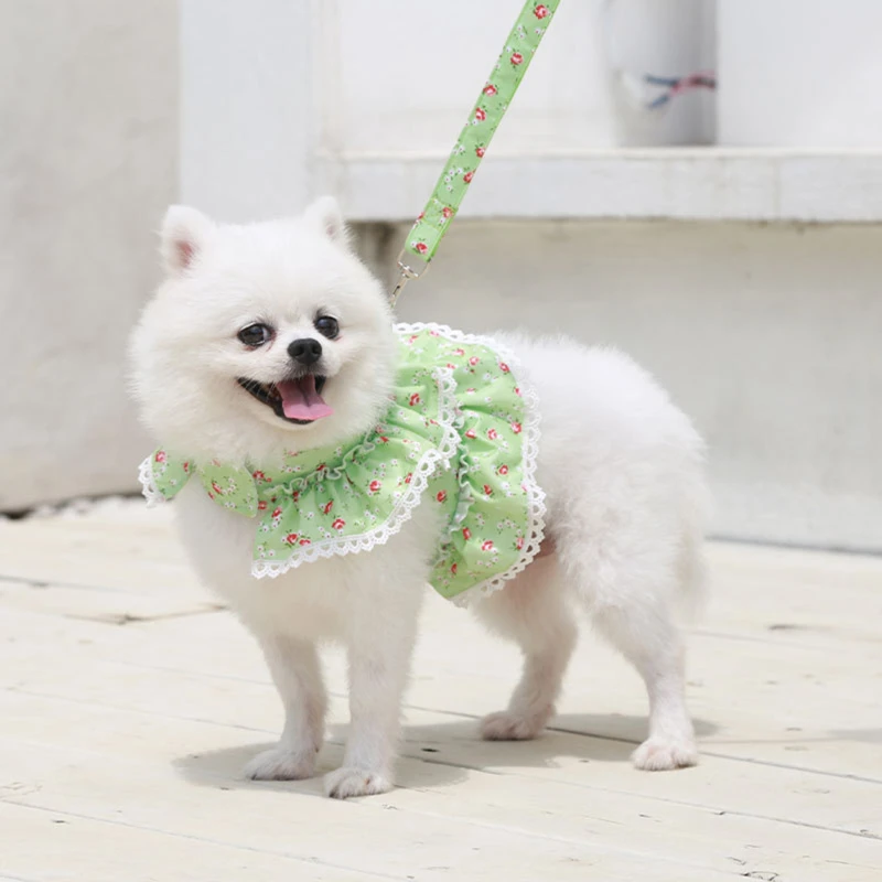 

Dog Cat Harness Leash Set Adjustable Lace Floral Printed Pet Harness Vest Cute Dog Dress Pubby Mesh Harness Cat Walk Lead