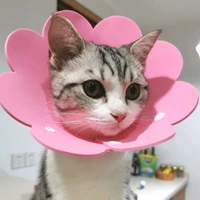 collar wound healing protective cone flower shaped cat recovery collar for kitten puppy