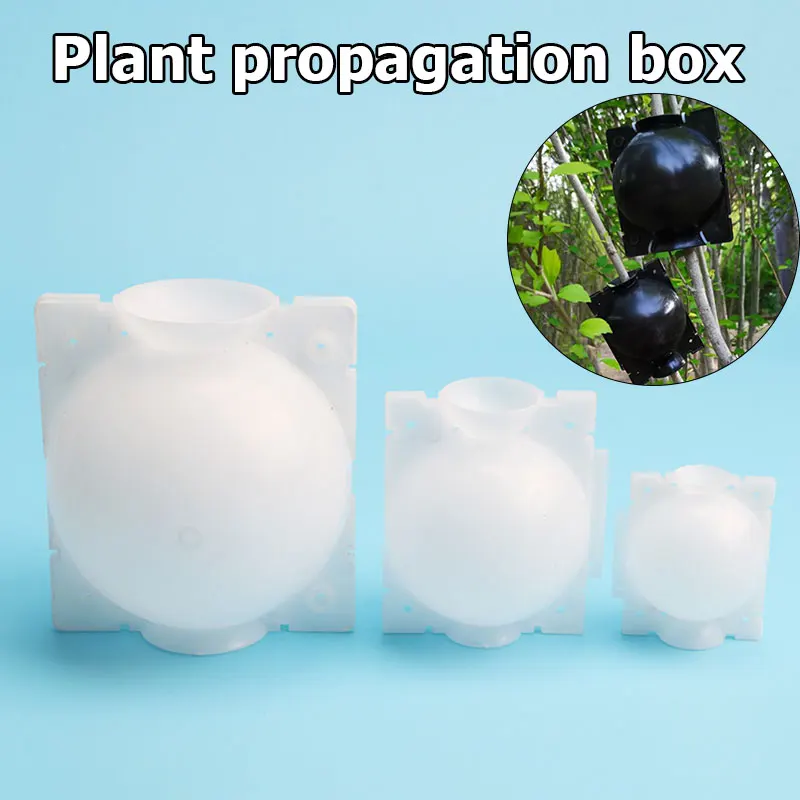

Practical Garden Plant Rooting Ball Breeding Case Root Flower Container Solid Color Grafting Rooting Box Propagation Ball