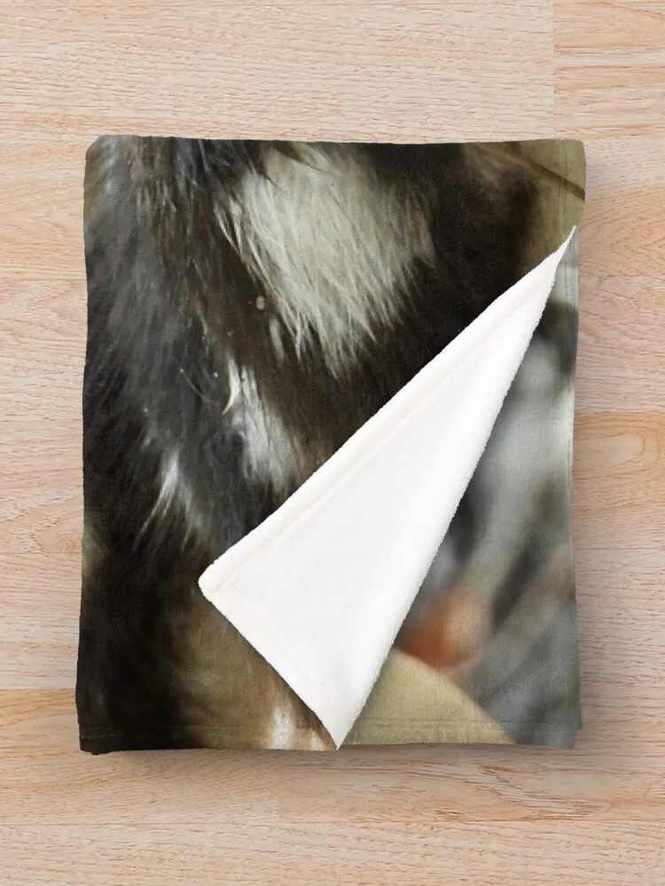 Radjah Шелдук утки всегда будущий мир пледы декоративное одеяло милые клетчатые