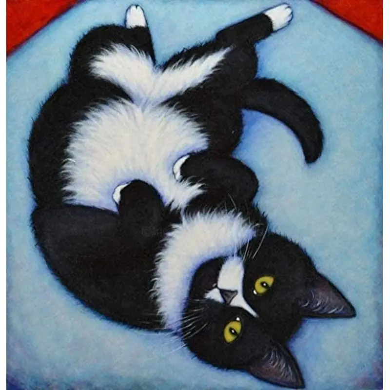 

GATYZTORY 60x75cm Acrylic Paint By Numbers Cat For Adults Kids Handpainted Animals Picture Drawing DIY Art Supplies Home decor