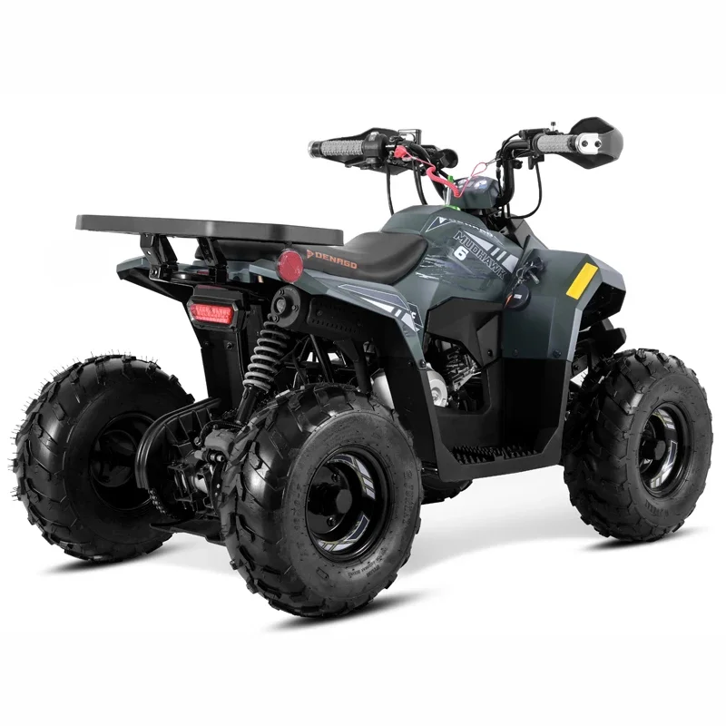 Tao Motor 2025 Новый квадроцикл Катримото Дешевый китайский детский 110 куб.см с EPA CE