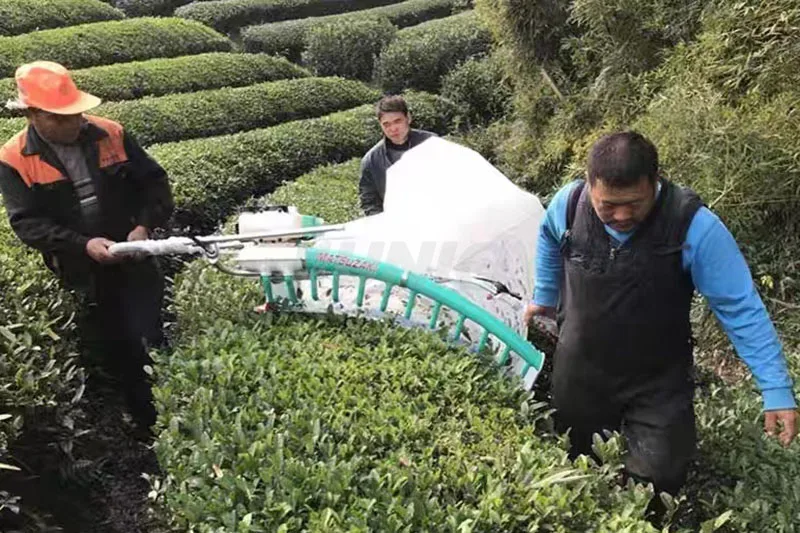 Портативная электронная машина для сбора чая