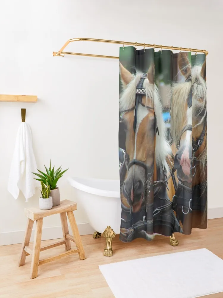 Haflinger лошади вместе в ремнях занавеска для душа