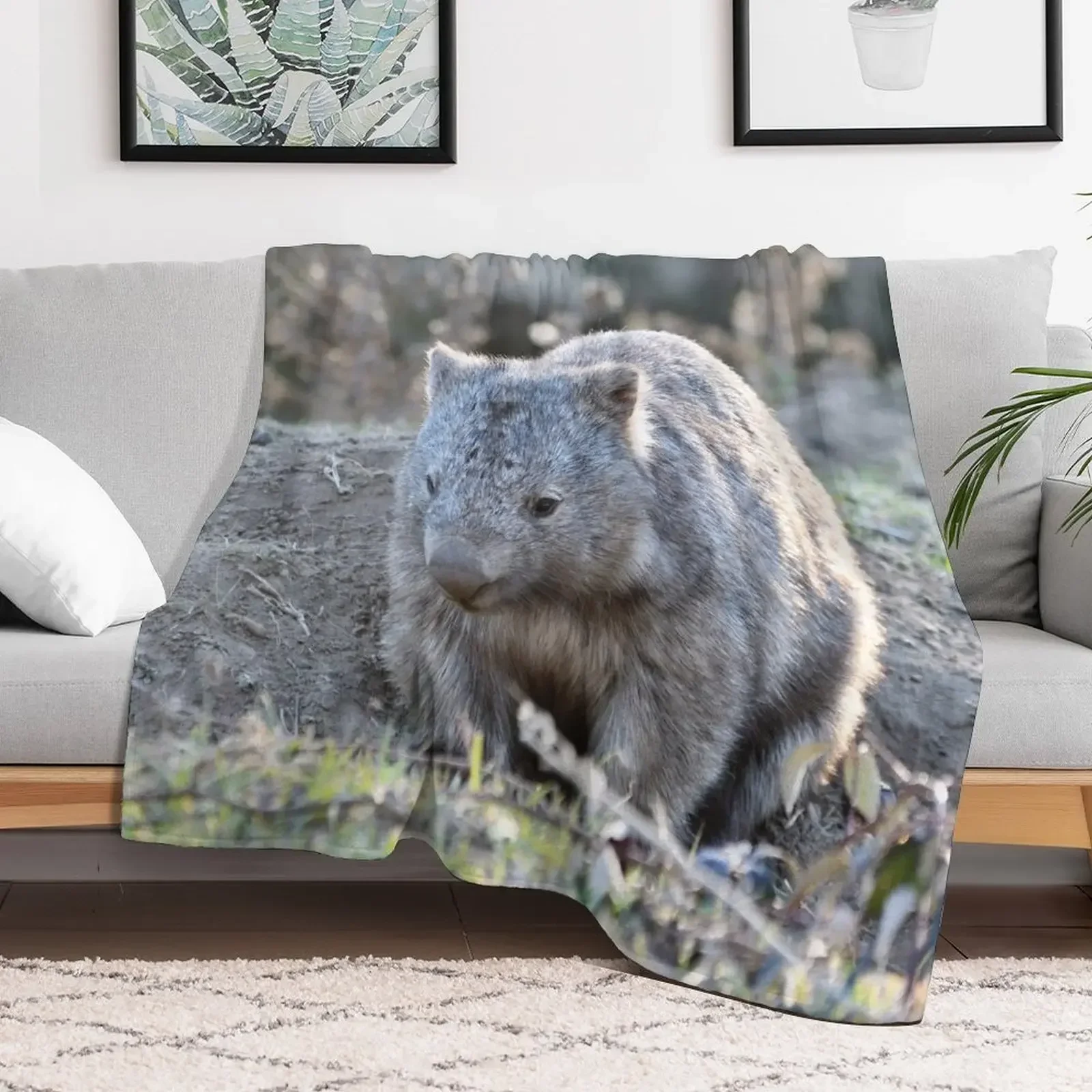 Одеяло Wombat in the Sun Декоративные среды Многоцелевые детские одеяла