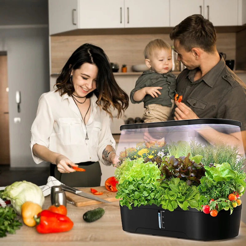 Гидропоника для выращивания в эрогарде