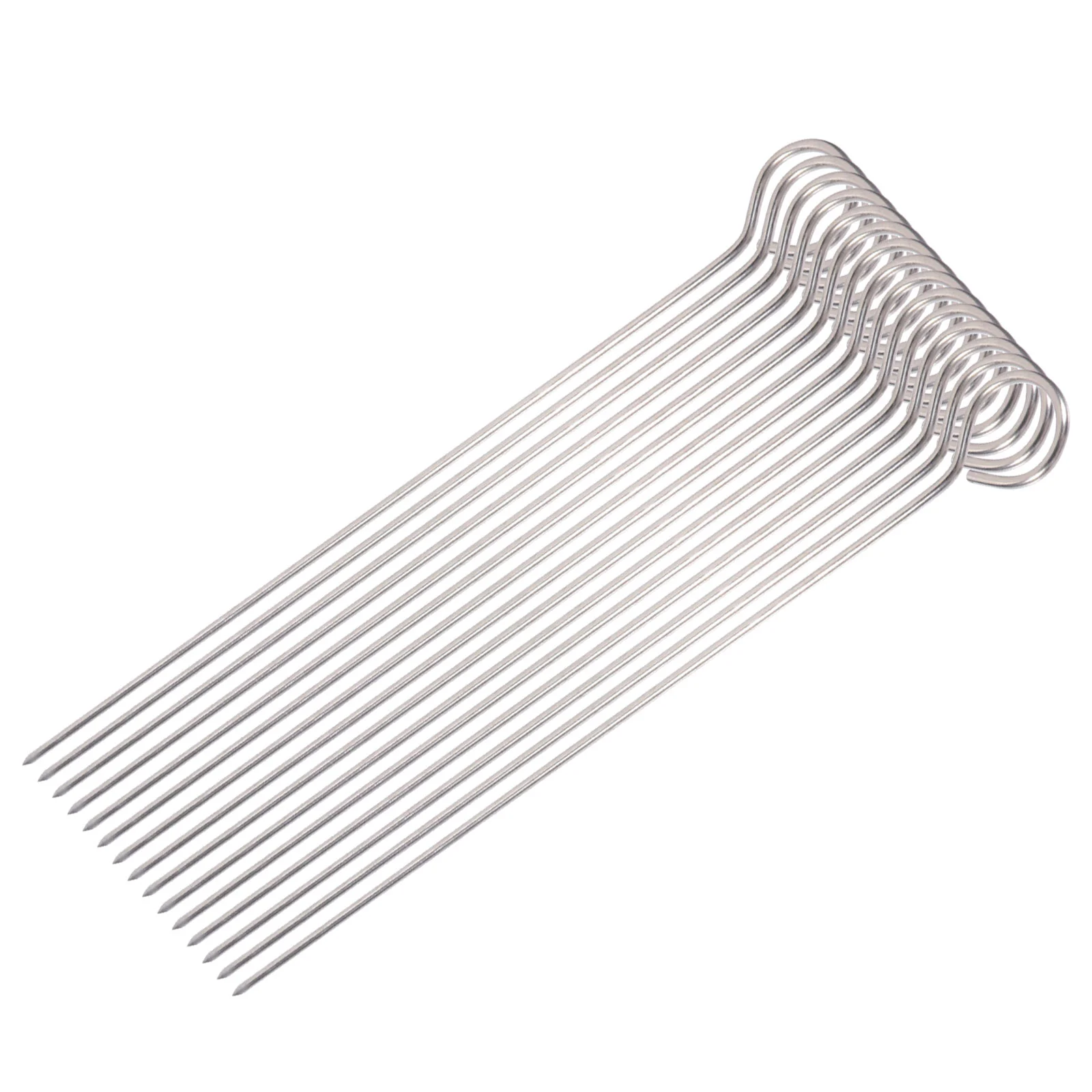 

30 Pcs Bonfire Fork Outdoor Set Meat Fork Skewers Barbeque Grill Stainless Steel Sign Pearlescent Turkey Trussing