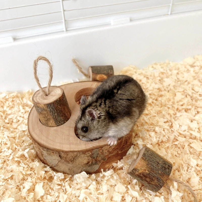 Маленькая игрушка для кормления домашних животных хомяков кроликов деревянная