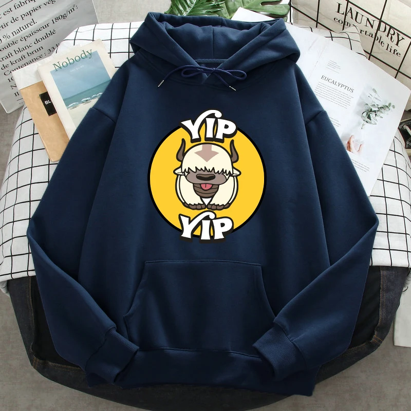 Funny Hoodies Avatar The Last Airbender Printed For Men Fashion Autumn Hooded Male Funny Sweatshirt Casual Male Pullover