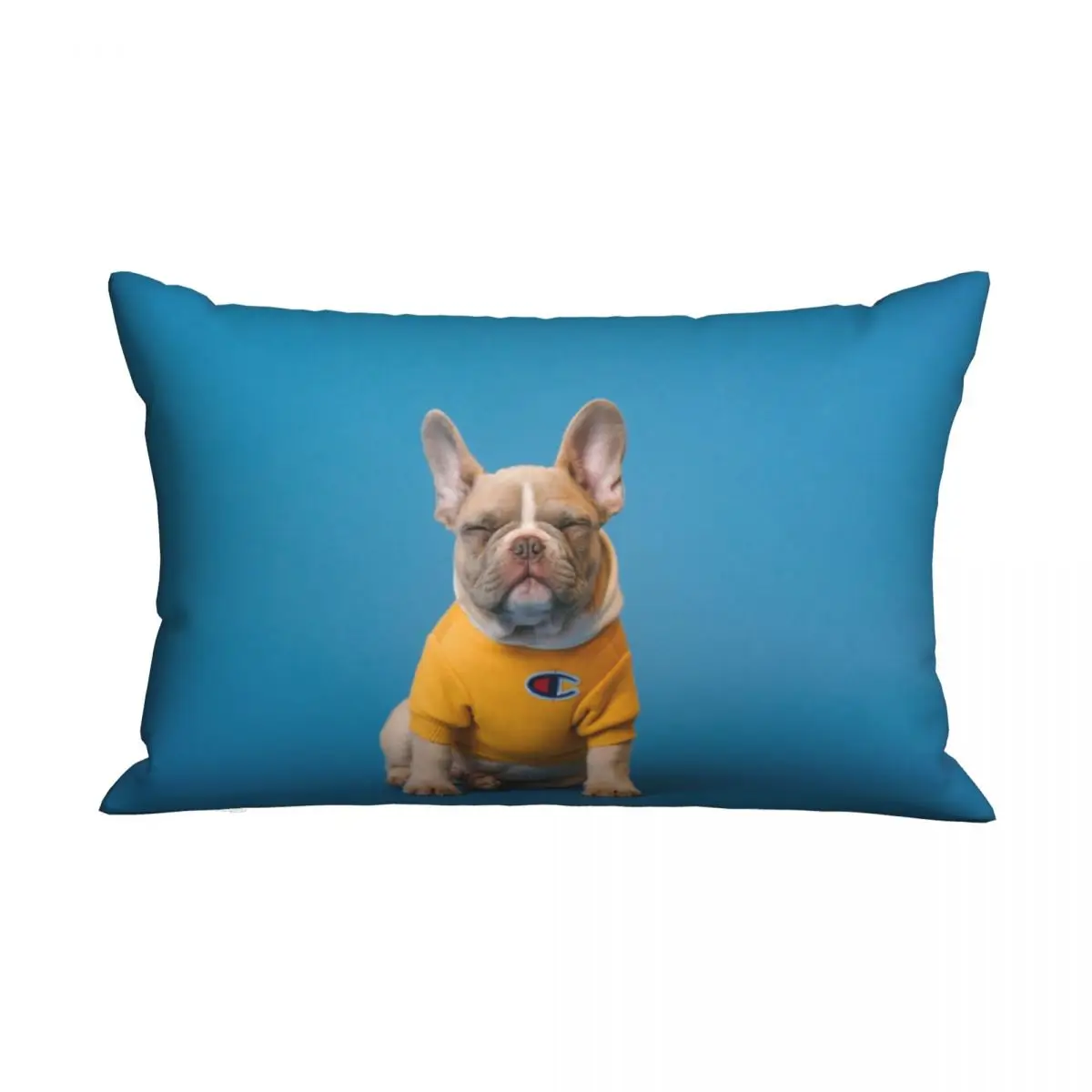 

Чехол-наволочка с рисунком собаки и животного