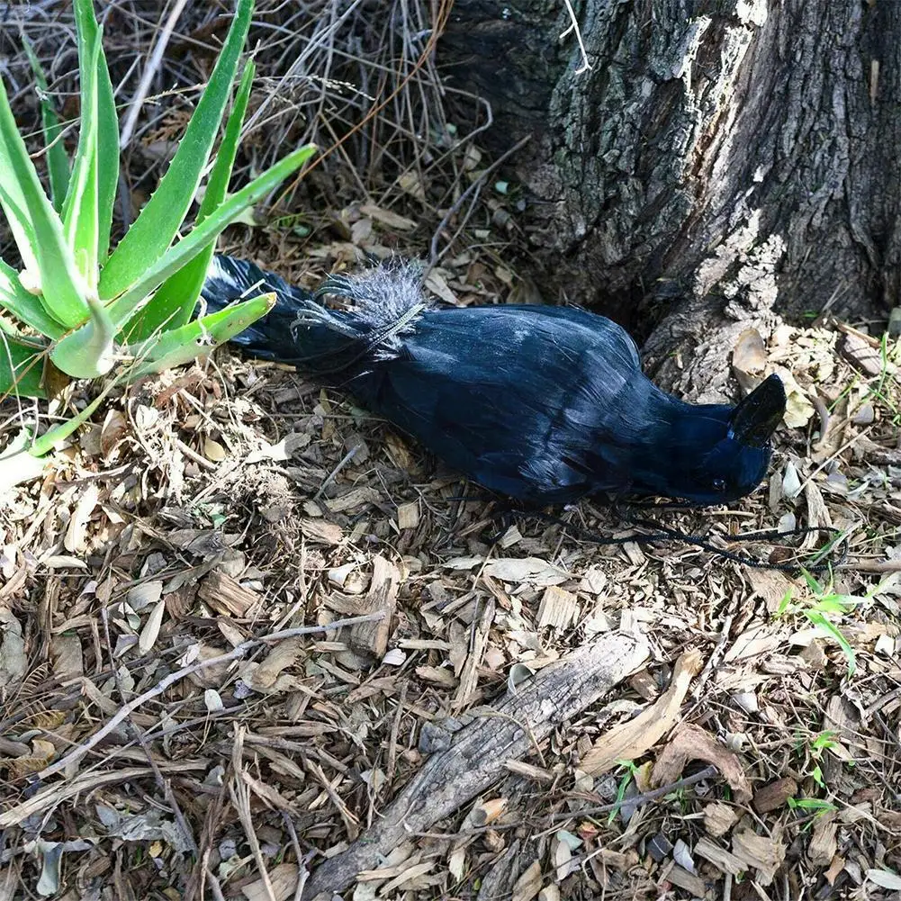 

1pc Bird Mold Animal Ornaments Realistic Hanging Dead Crow Toys Large Black Simulation Decoy Lifesize Crow Feathered Y7z7