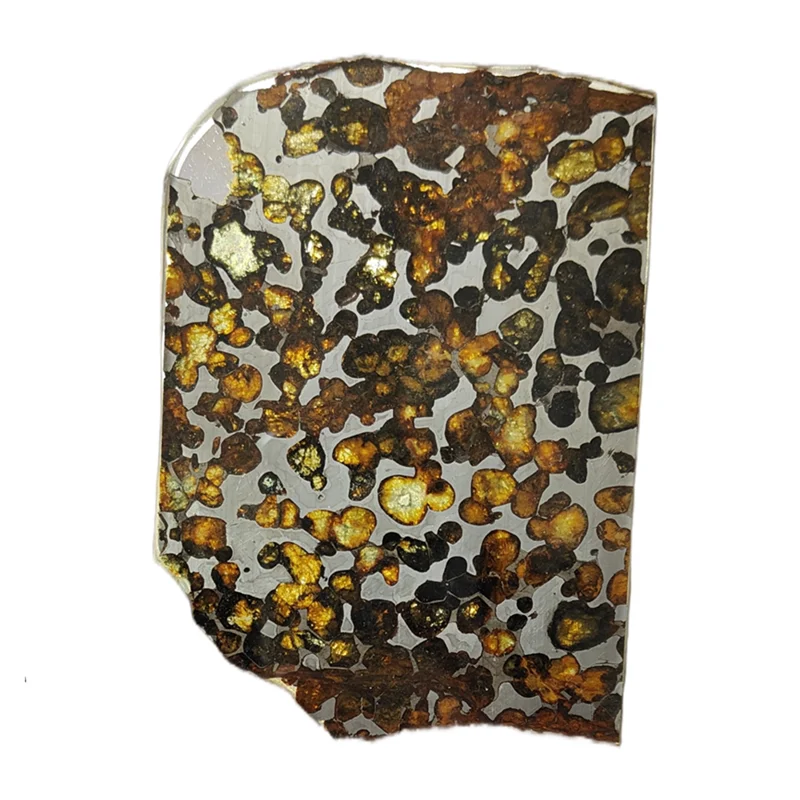 

Serico Kenya Olive Meteorite Slice Pallasite Natural Meteorite Olive Meteorite Large Section Specimen