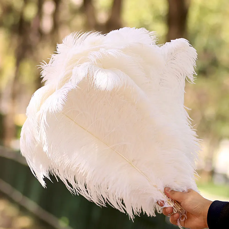 10 шт./партия декоративные перья страусиного дерева |