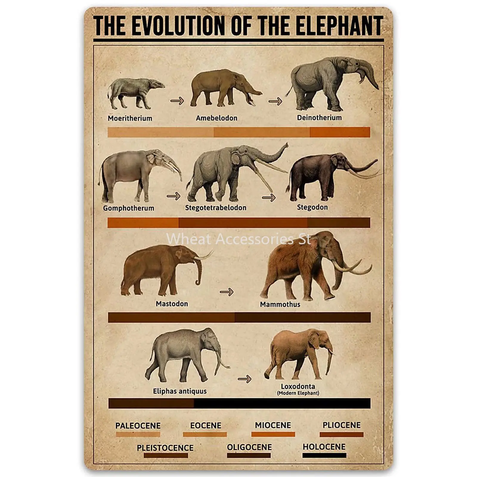 

Metal Sign The Evolution of The Elephant Tin Poster Animal Timeline Chart Retro Wall Art Decoration Bedroom Club Office Plaque