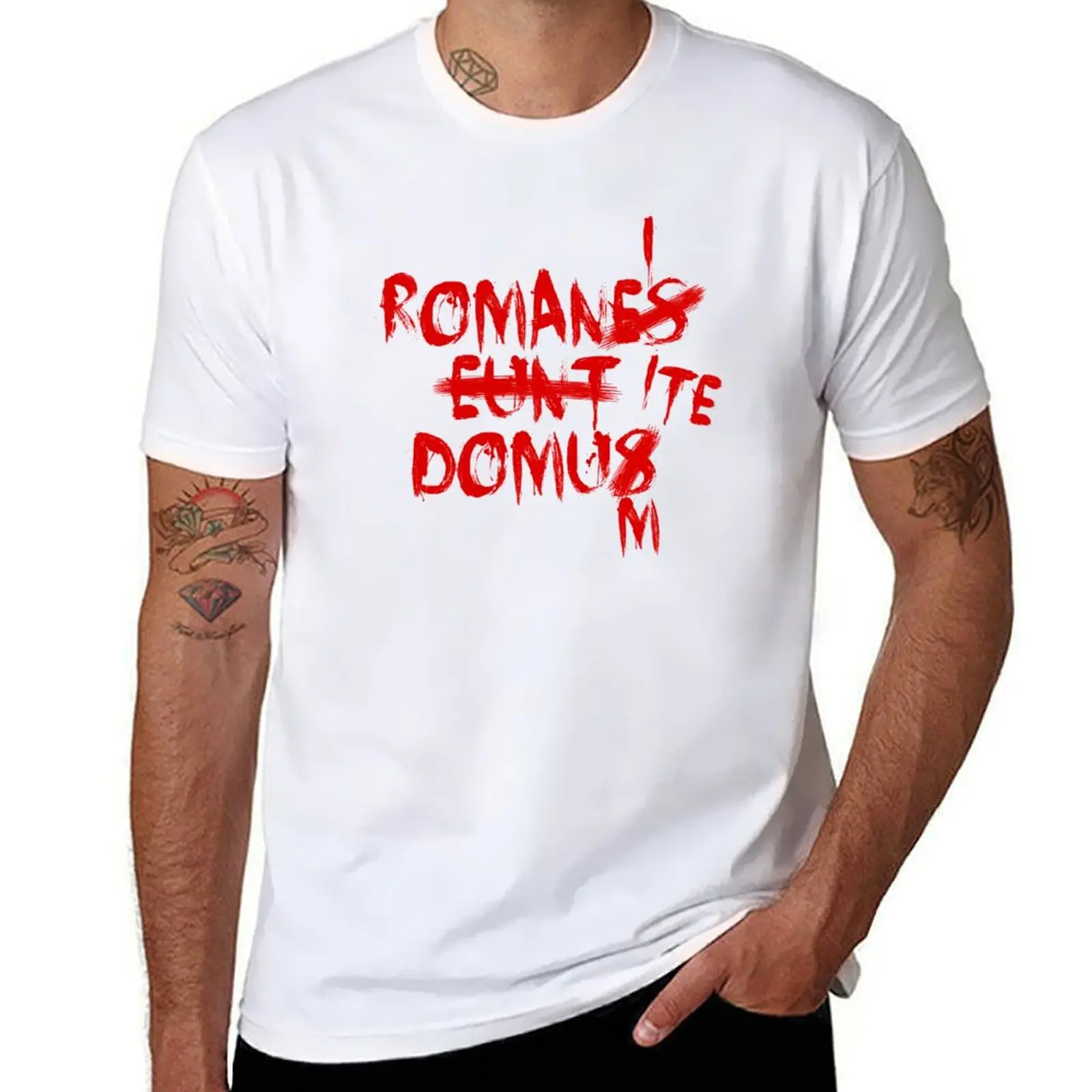 Romanes Eunt Domus Romans Go Home Corrected футболка кавайная одежда мужские рубашки с рисунком
