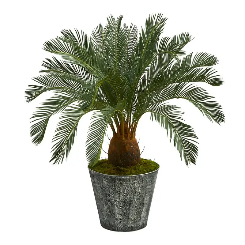 

Cycas Artificial Tree in Black Planter, Indoor/Outdoor