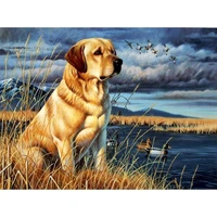 gatyztory acrylic frame diy painting by numbers kits for adults lawn puppy animals drawing coloring by numbers for home decor ar