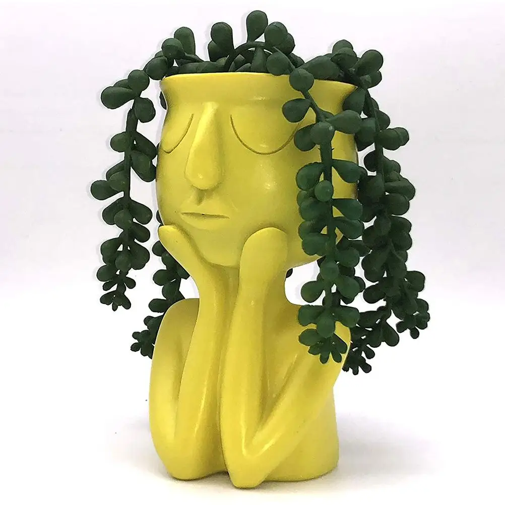Смола сочные плантатор горшок голова лицо цветок растение ваза домашний сад