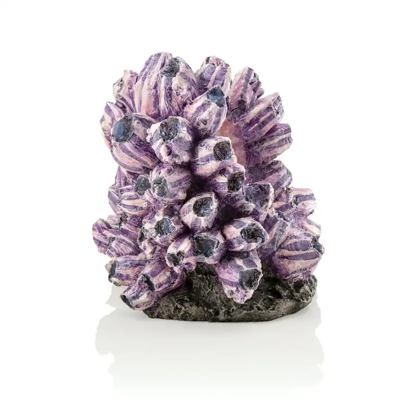 

Аквариумная скульптура, кластер Barnacle, смола, фиолетовый