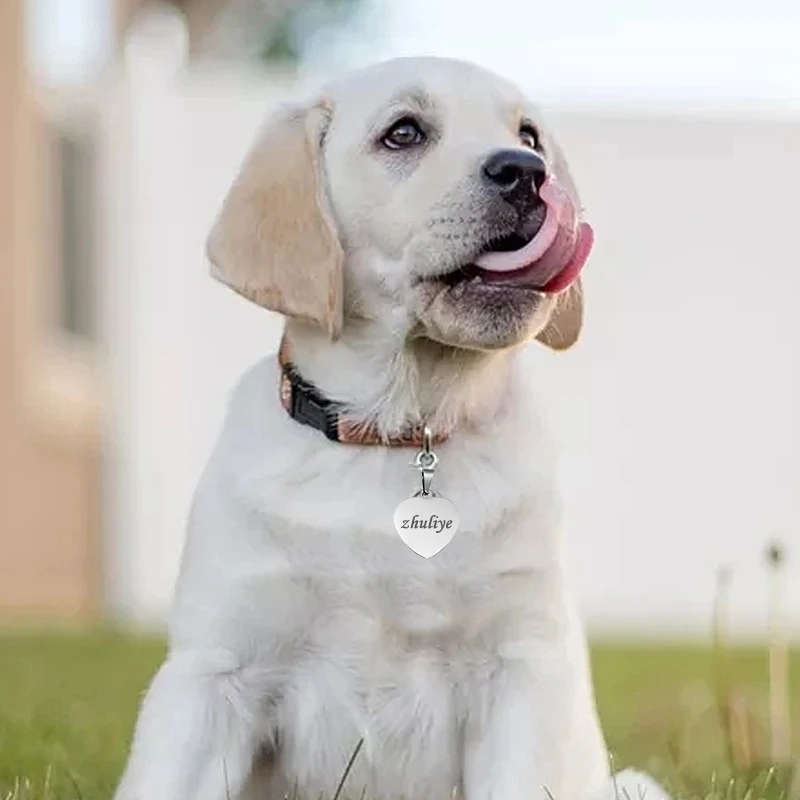 Индивидуальная идентификационная бирка для собак и кошек персонализированный