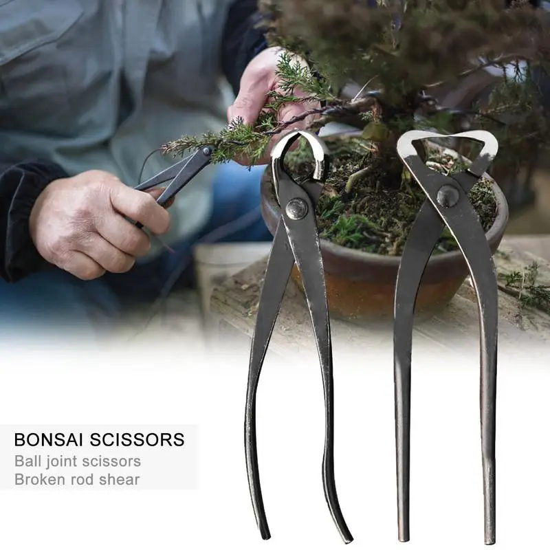 

Bonsai Tools Knob Cutter Straight Edge Branch Cutter Shears Root Cutting Pliers Easy Use Garden Bonsai Cutting Scissors Supplies