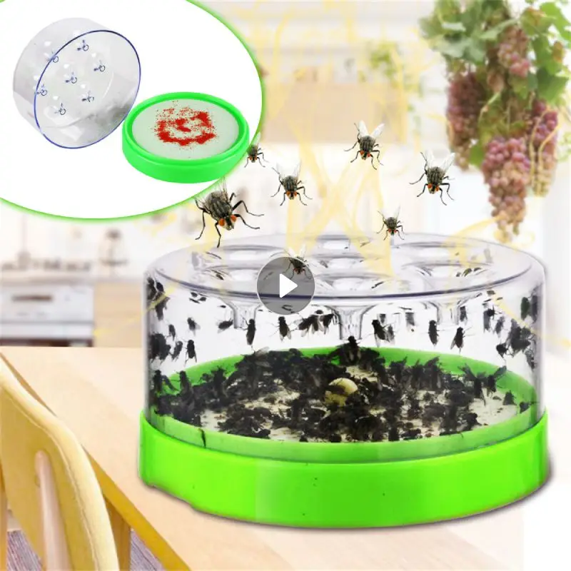 

Multipurpose Flies Killer Fly Trap Indoor Flycatcher Household Kitchen Pest Reject Control Repeller Catcher Killer Fly Trap