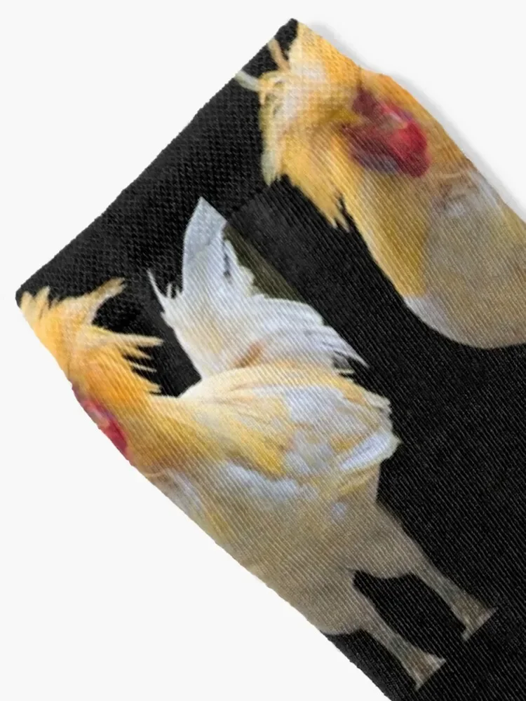 Носки Colombia's Phyllis Diller Essential оптовая продажа женские и мужские носки