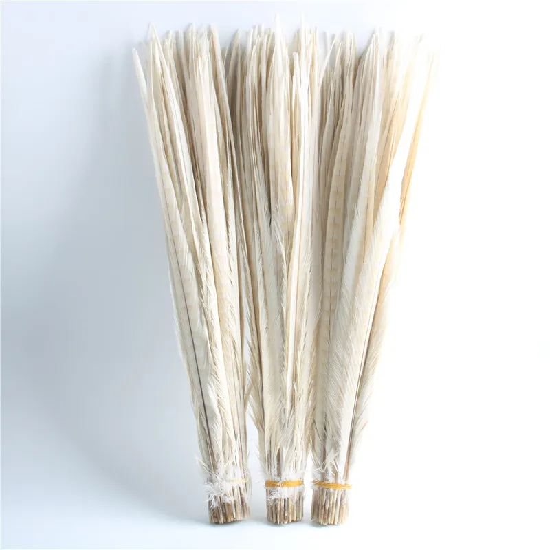 

50-100pcs/lot Beige Pheasant Feathers for Crafts 20-22 Inch/50-55cm Plumas Party Plume Accessories Plumes Decor