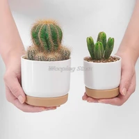 automatic water absorption and storage round succulent plant pot double layer succulent green dill small green plant flower pot